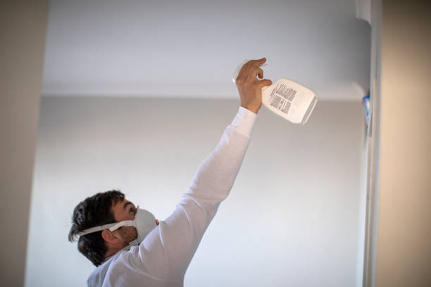 Best Industrial Mold Remediation in Cambria, IL
