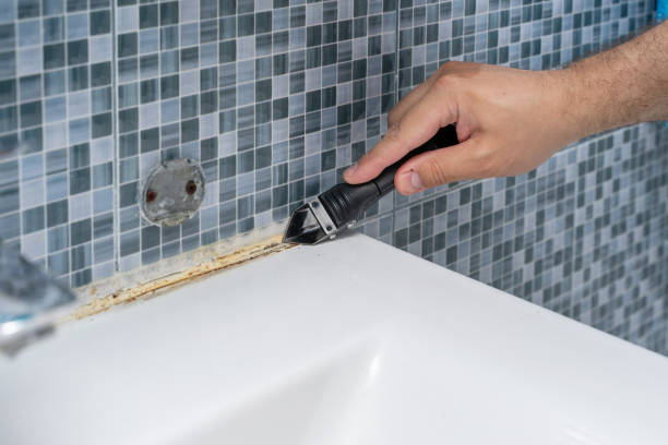 Cambria, IL Mold Remediation Company