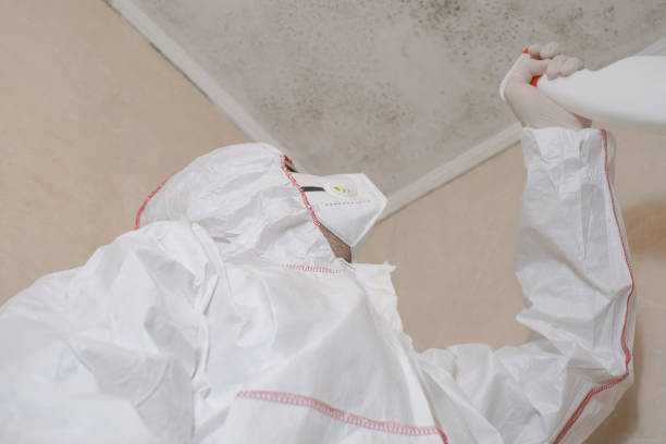 Cambria, IL Mold Remediation Company